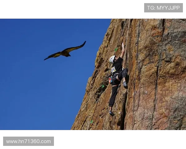 攀岩巨献：深入解析杭州攀岩队的默契与协作之道